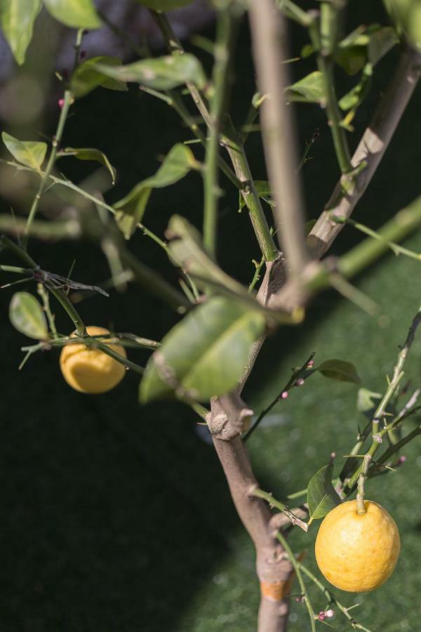 马奥莱Casa Rosanna别墅 外观 照片